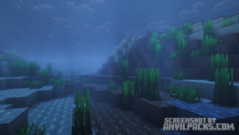 Underwater view showing seagrass and sunlight rays penetrating the surface in Complementary Reimagined.