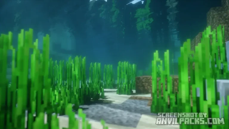 Underwater view showing green seagrass and clear water with light refraction on the ocean floor.