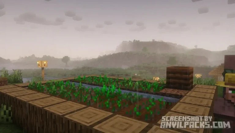 Wheat crops on a farm during rain with dense gray fog obscuring the background.