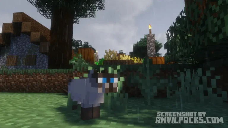 Siamese cat standing on grass during rainy weather with visible rain drops and wet ground effects.